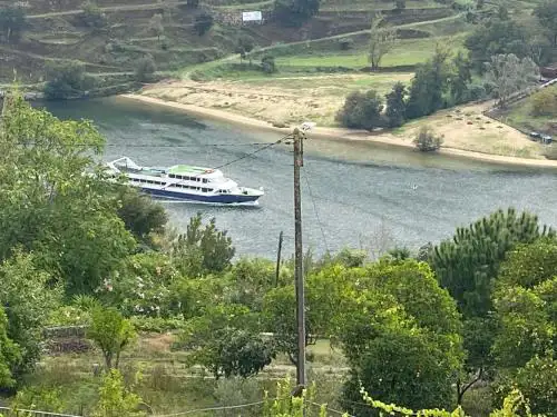 Casa Amarela do Douro Rooftop Escape