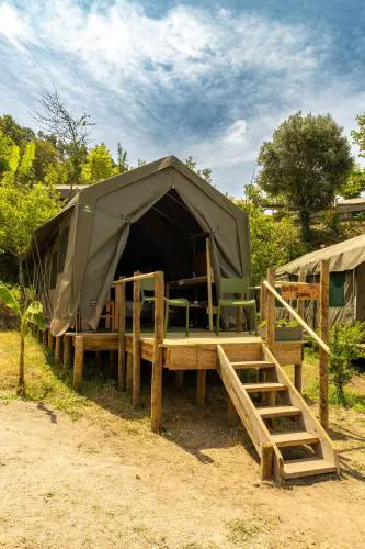 Safari Glamping Portugal Koi Fish