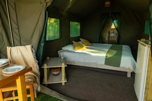 Safari Glamping Portugal Penguin