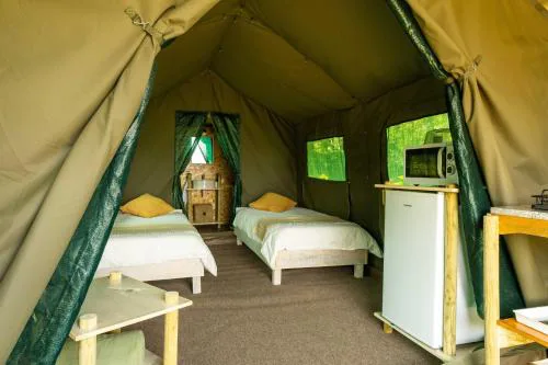 Safari Glamping Portugal Whale