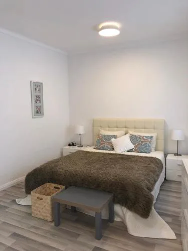 One-bedroom apartment in the city center