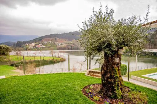 Casa das Oliveiras