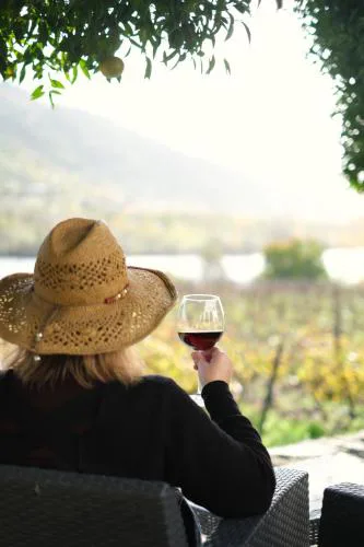 Quinta das Casas - Douro Winery & Villas