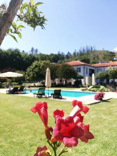 THE RIVER HOUSE - Termas Guesthouse