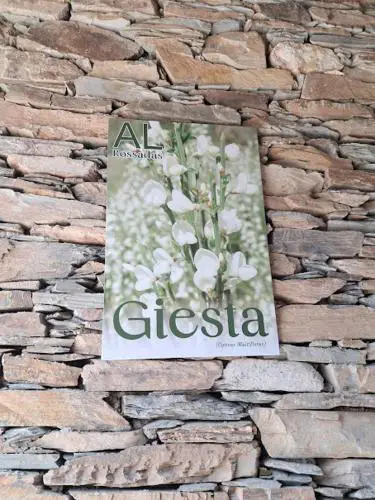 AL Rossadas Giesta
