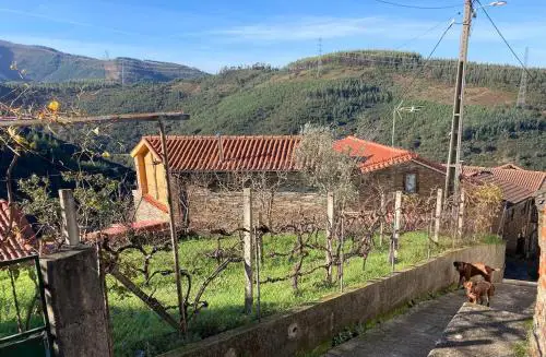 Casa do Ferreiro - Bocado Arganil