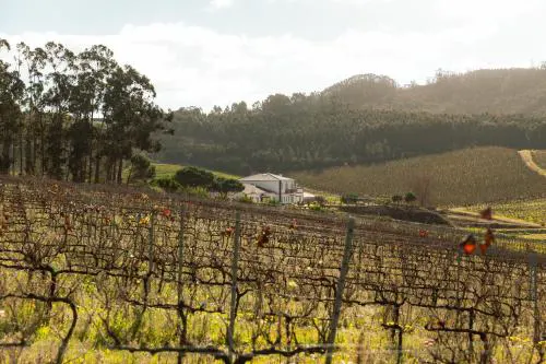 Quinta da Murnalha
