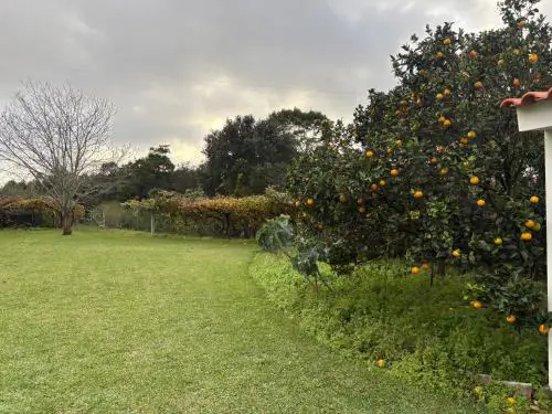 Alma CaloRosa Garden Apartment