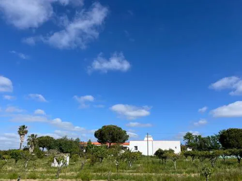 Monte da Palmeira