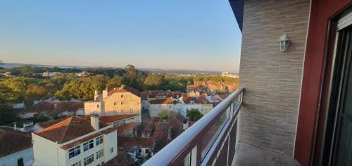 Caldas da Rainha's Green & Brown