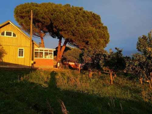 Casa do Pinheiro Country house near Óbidos with garden