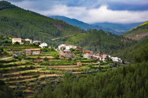 Casa do Azereiro