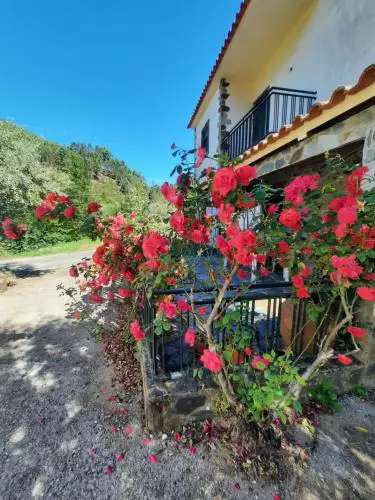 Casa Penafalcão