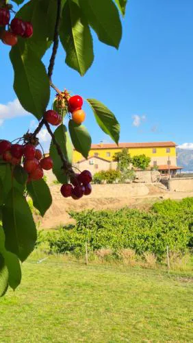 Quinta do Limite - Agroturismo