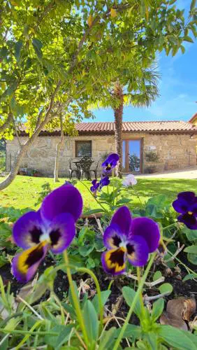 Quinta do Limite - Casa do Camponês