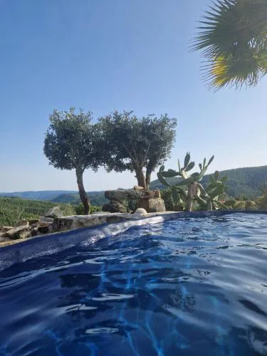 Ola Bella Vista