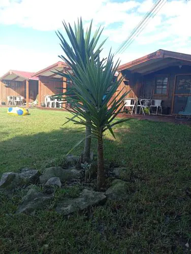 Dinocamp