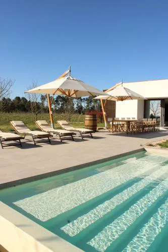 Lusus Wine House - Refúgio vínico com piscina no Dão