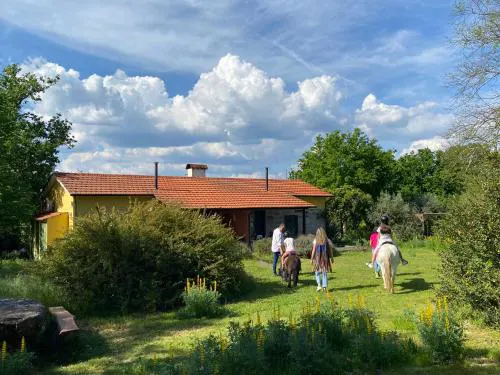 Casa Das Palmeiras-Pedagogic Farm