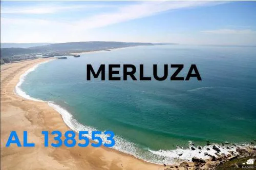 Merluza