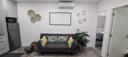 Nazaré Apartment 2