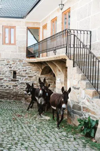 Casa dos Costas
