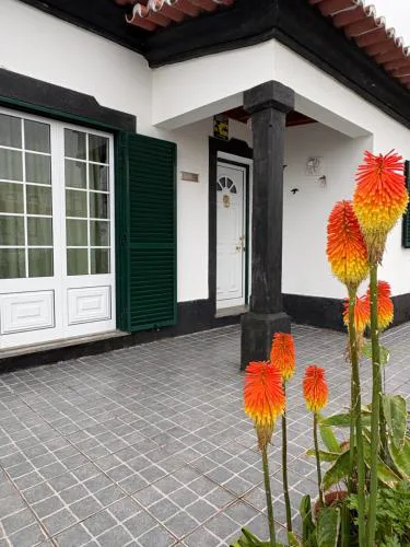 Zizi home