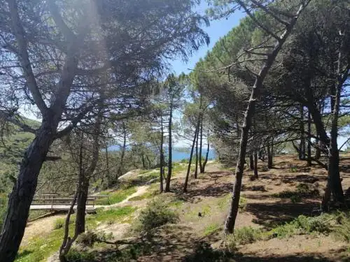 Casa Jacintos - Sintra, Magoito