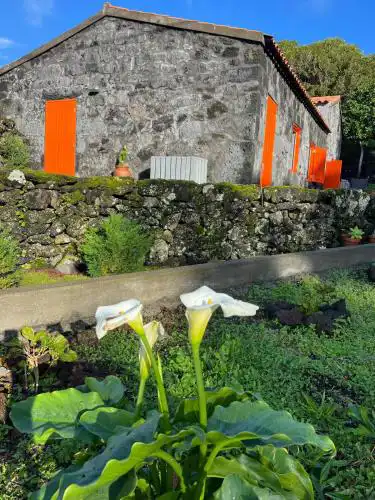 Casa Picobello