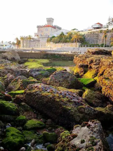Pateo Estoril - Brand New Villa in Estoril