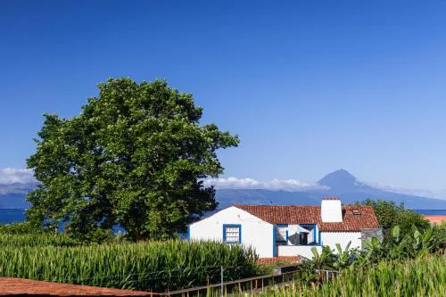 Casas Dos Vimes