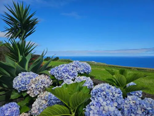 Ocean View - Nordeste