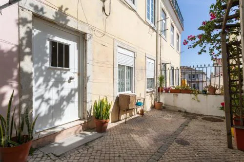 Experience Lisboa like a local