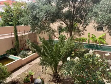 Junqueira Gardens - Casa Antiga Jardim e Piscina