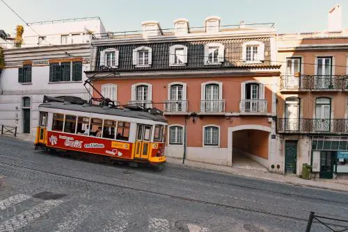 Lapa 82