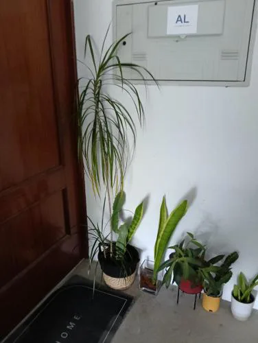 Lisbon Room