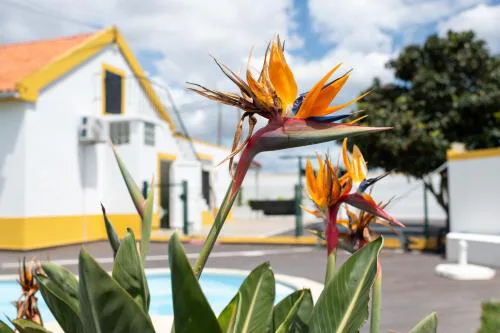 Casa La Rosa with private pool