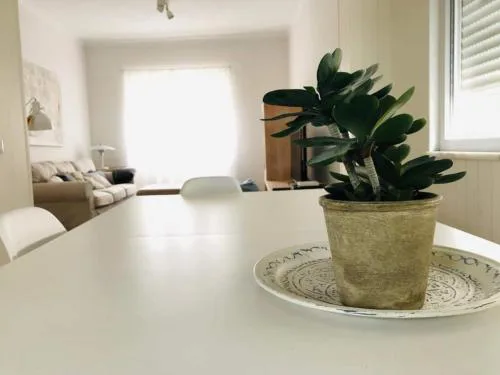 Spacious 3 bedroom apartment 20 min to Lisbon
