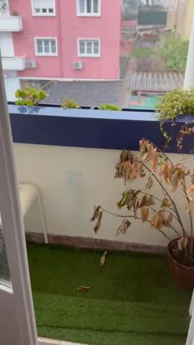 Casa Saudad