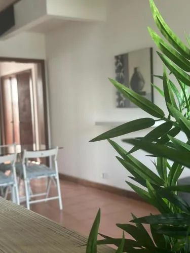 AZORES PEDRA APARTMENTS - T0 e T1