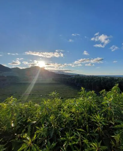 Quinta do Sossego-Giestas