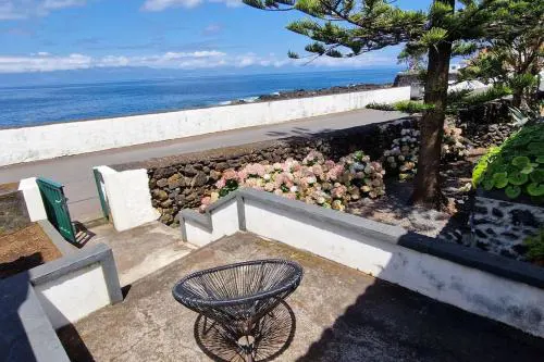 Terra`s Place