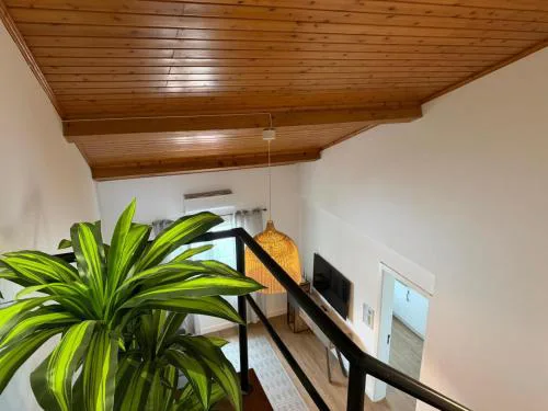 Azores Pedra Apartaments F