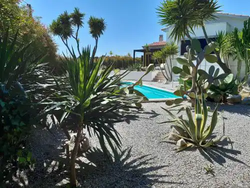Yuccas House