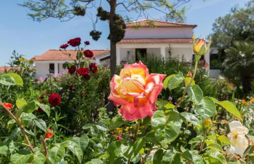 Quinta de São Pedro