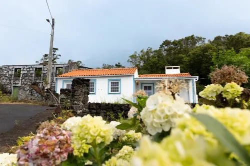 Casa da Mãe - Entre o Pico e a Maré