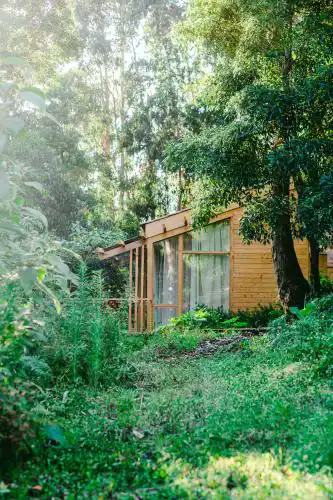 Cabanas da Viscondessa - AT