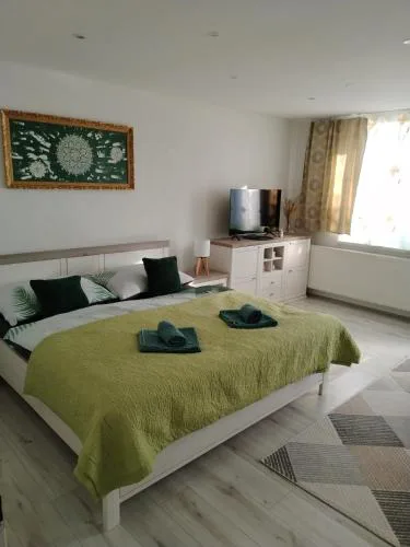 Apartmán Viky