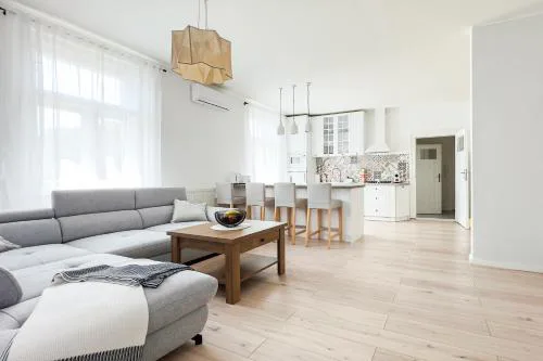 Business & Family Apartment Letna