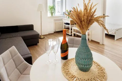 Boutique Flat in Old Town